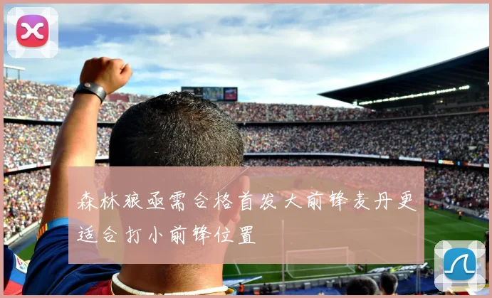 森林狼亟需合格首发大前锋麦丹更适合打小前锋位置