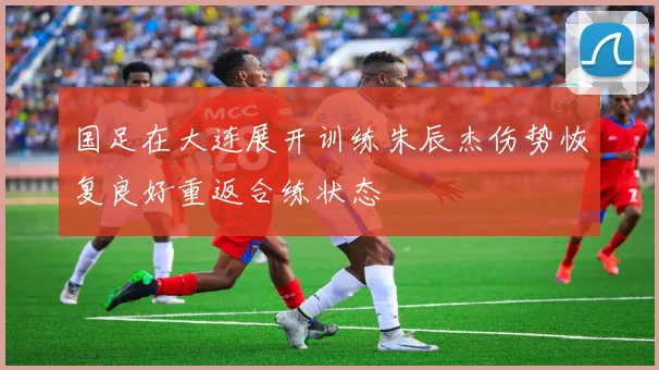 国足在大连展开训练朱辰杰伤势恢复良好重返合练状态